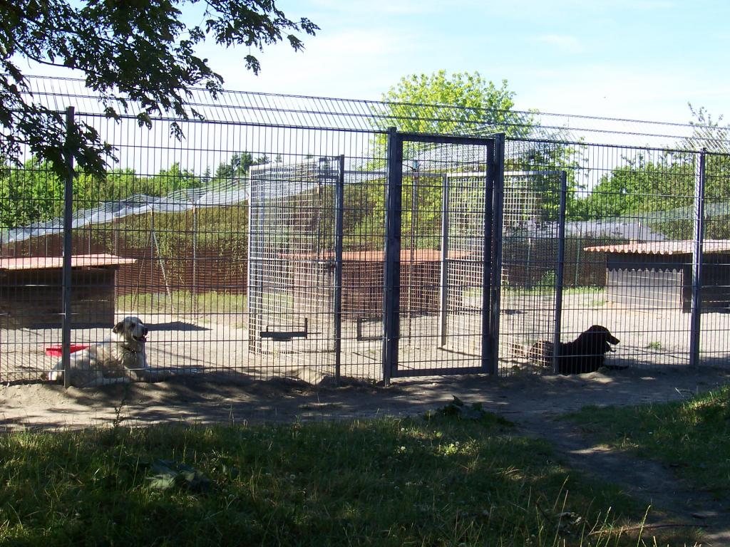 Tierheim Bad Tierheim Bad